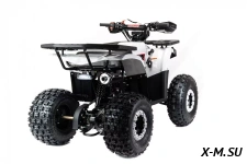 Квадроцикл MOTOLAND (МОТОЛЕНД) 125 STORM A