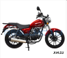 Мотоцикл Regulmoto SK200-8