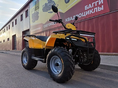 Квадроцикл IRBIS ATV 200