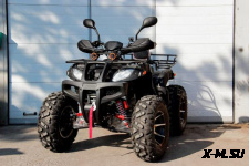 Квадроцикл Grizzly 250