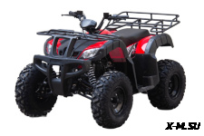 Квадроцикл UNIVERSAL Avenger JR 150