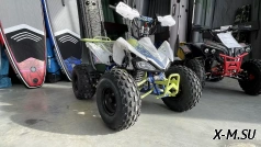 Квадроцикл BSE XT1 PRO SPORT