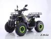 Квадроцикл TAO MOTORS REPTILE-200 (WARRIOR)